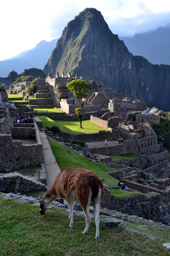 peru